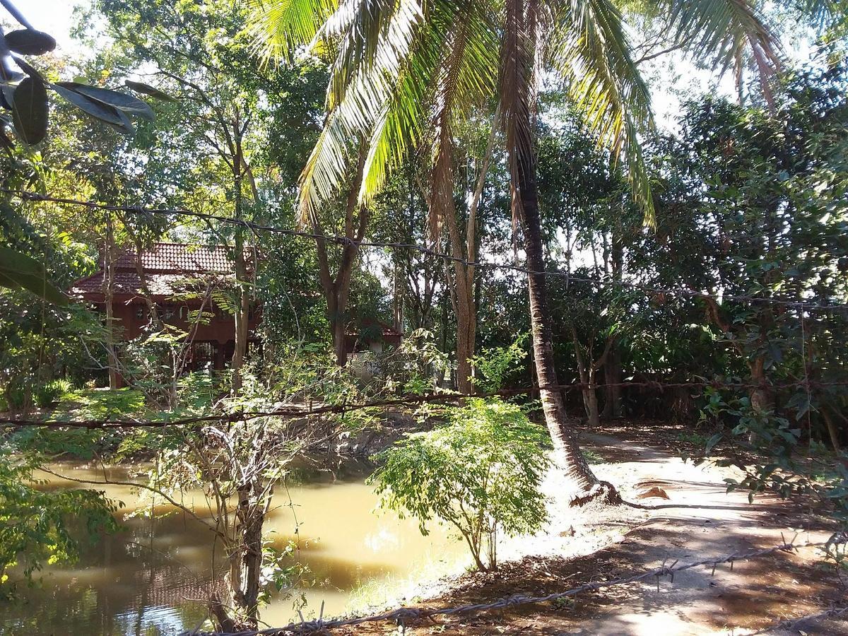 Your Home In Mae Rim Ban Muang Pha Eksteriør bilde